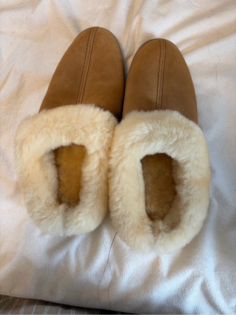 Women’s Faux-Suede Slip-On Clog with Plush Shearling Lining - Chestnut